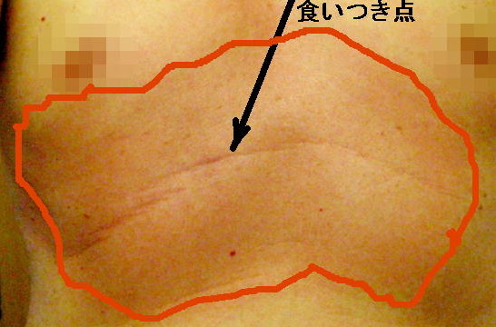 a0007388_11143839.jpg