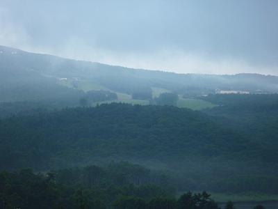 c0123890_1485414.jpg