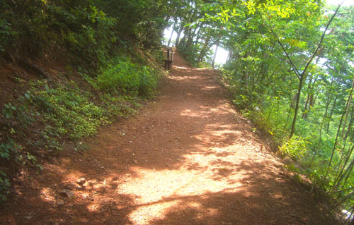 b0099994_6151296.jpg