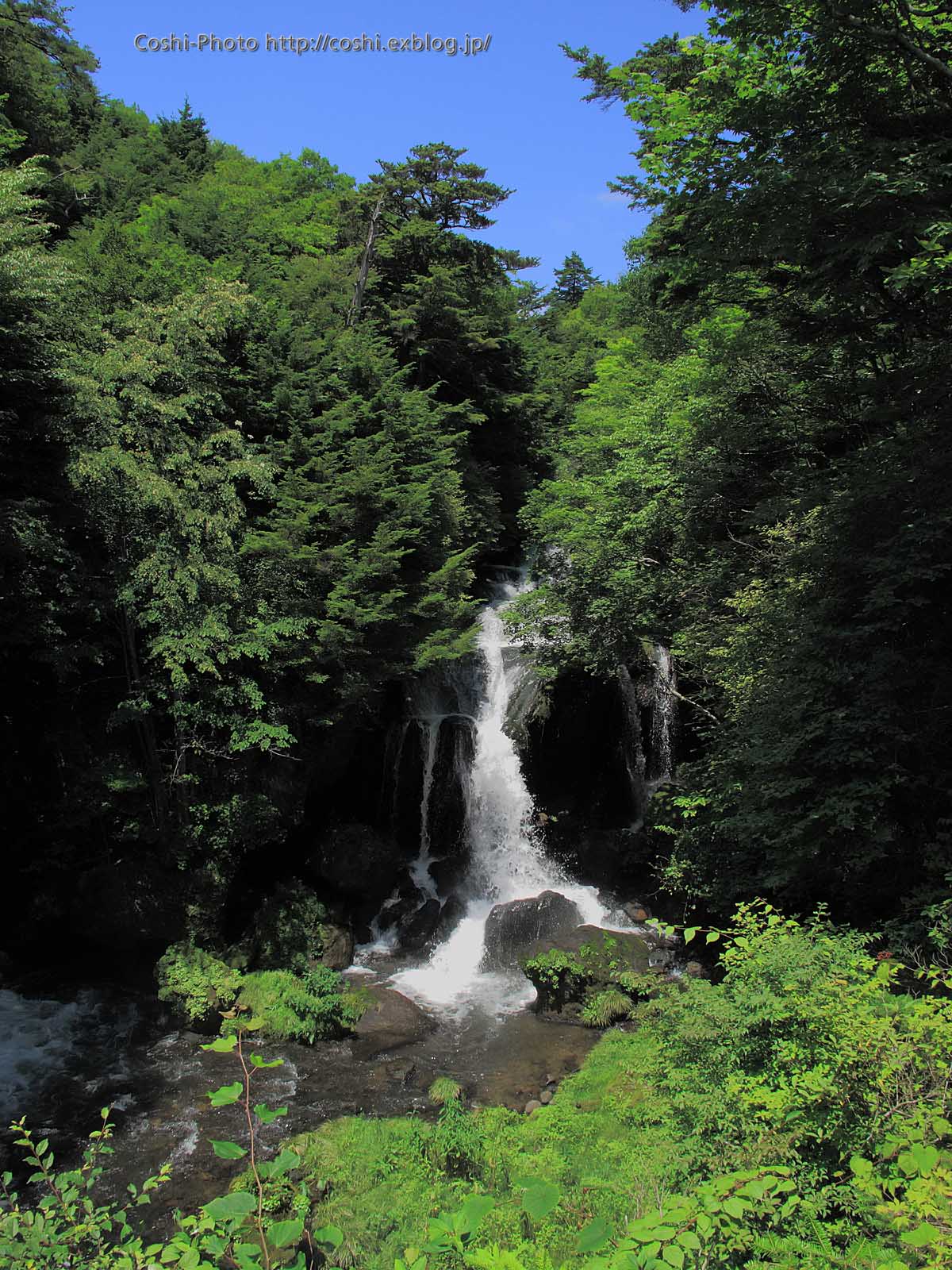 a0110096_1233174.jpg