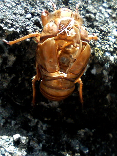 f0223097_14492765.jpg