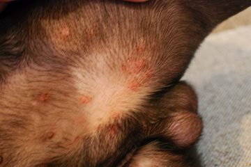 f0136098_14155416.jpg