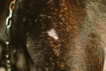f0136098_1419250.jpg
