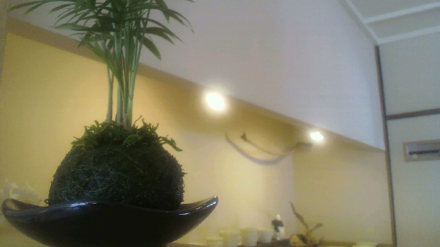 b0186703_13413958.jpg