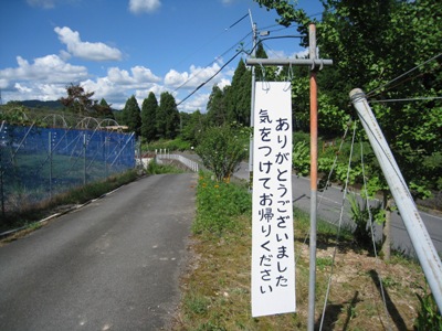 d0116205_2054402.jpg