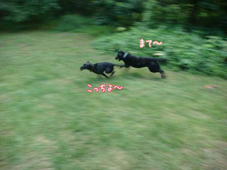 f0064906_15543090.jpg