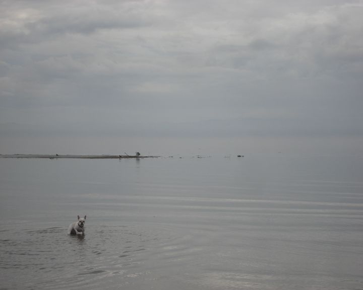 f0084806_10542977.jpg