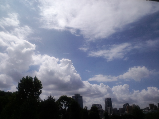 a0088007_1515760.jpg