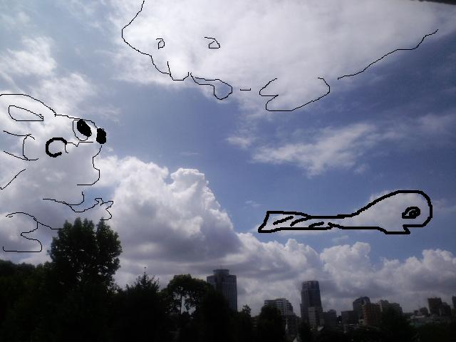 a0088007_1562572.jpg
