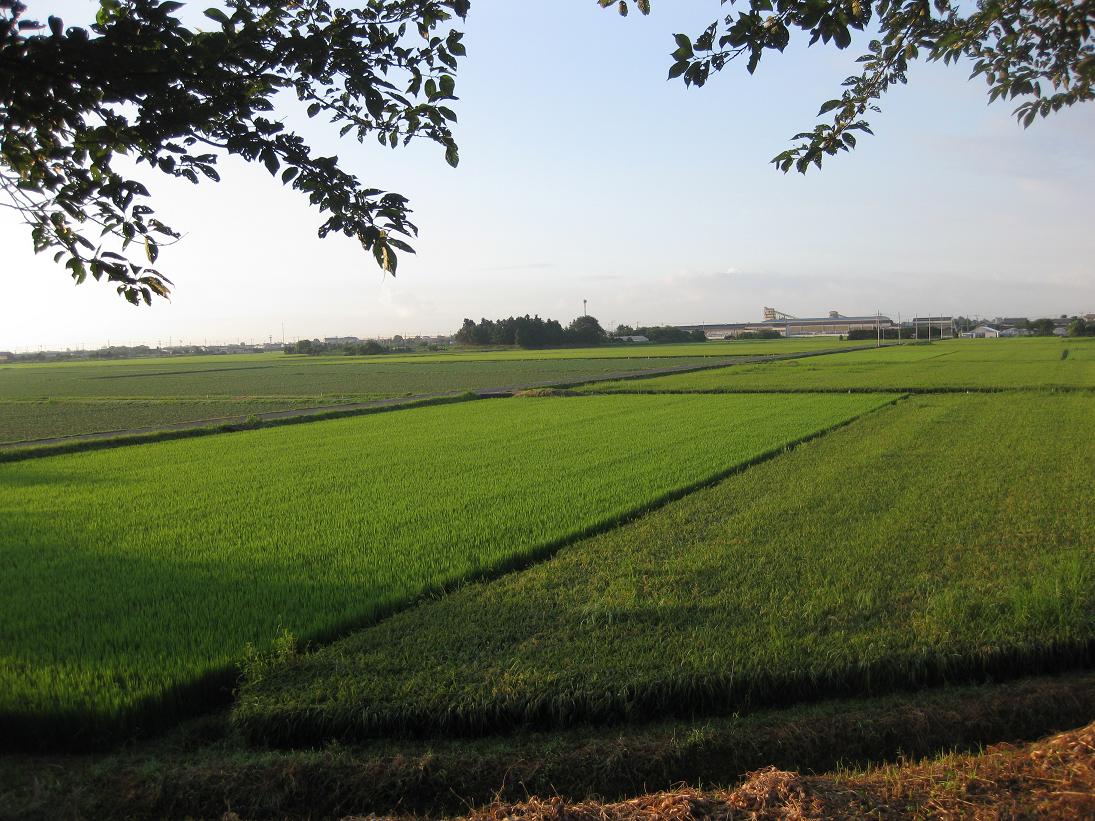 f0179209_20343430.jpg