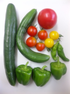 c0201113_22342317.jpg