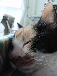 c0201113_22372489.jpg