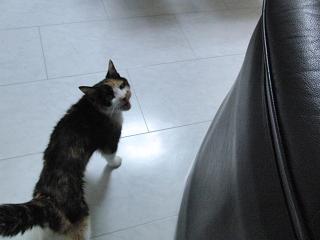c0201113_22393992.jpg