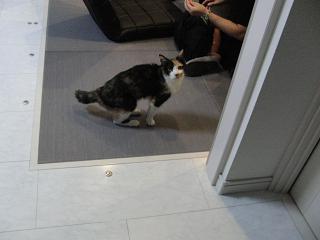 c0201113_22404187.jpg