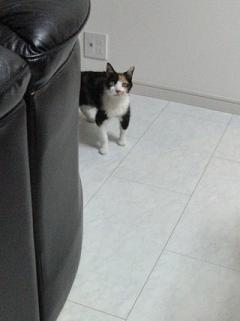 c0201113_2240837.jpg