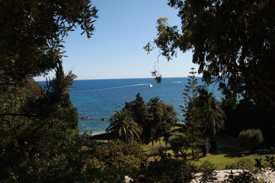 e0042414_2331329.jpg