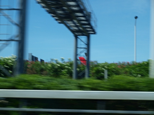 d0114517_14452621.jpg