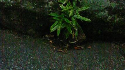 c0097620_231886.jpg