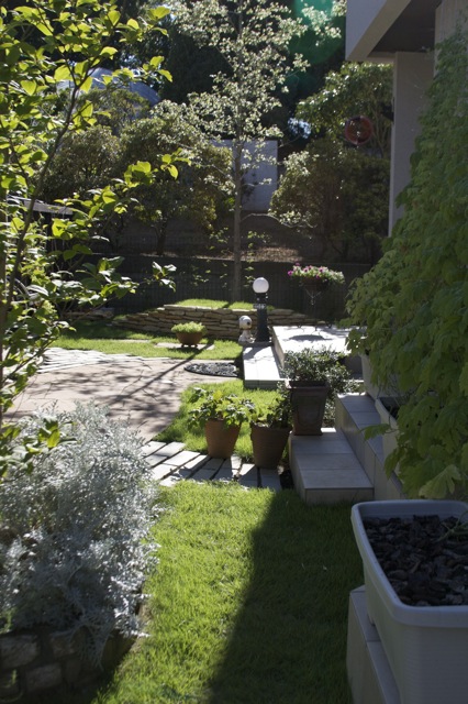 e0021328_229187.jpg