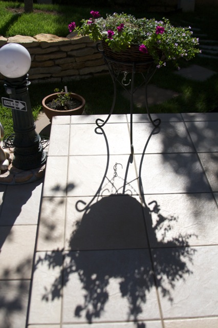 e0021328_2293861.jpg