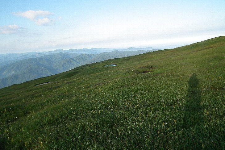 f0118332_22482229.jpg