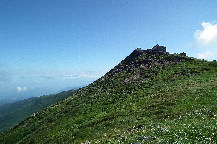 f0118332_2314770.jpg