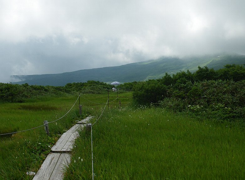f0118332_23201274.jpg