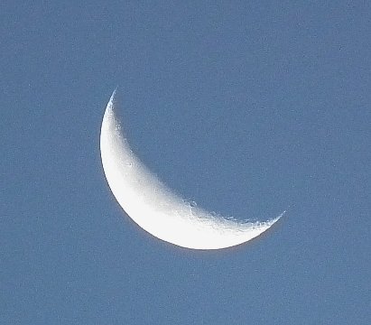 f0118332_2355571.jpg