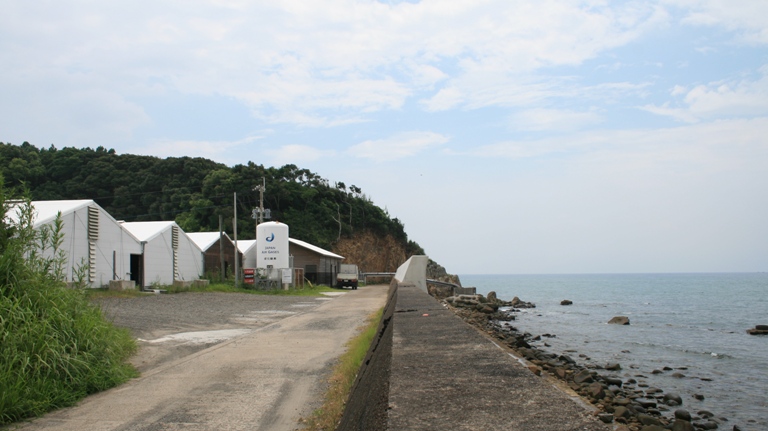 f0042737_9164061.jpg