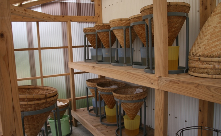 f0042737_941164.jpg