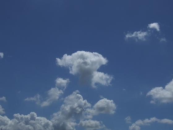 b0089338_2364912.jpg