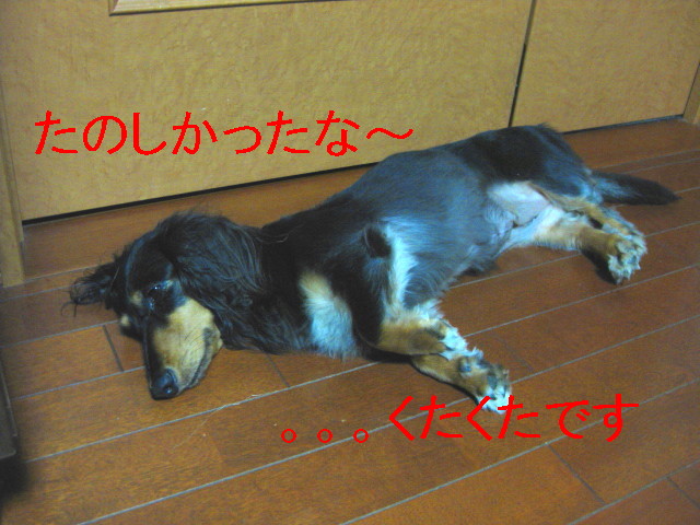 b0181341_017027.jpg