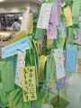 c0042941_1143147.jpg