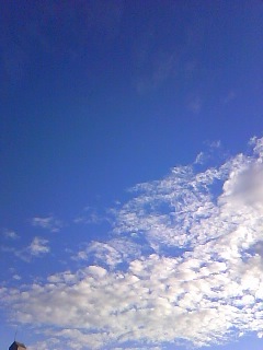 e0086642_733356.jpg