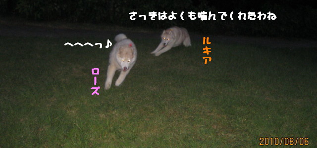 e0121548_21304598.jpg