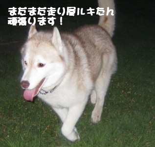 e0121548_21421173.jpg