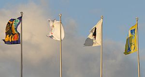 b0163551_14897.jpg