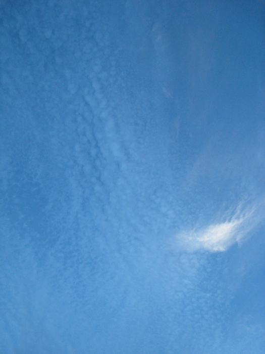 c0073152_21445234.jpg