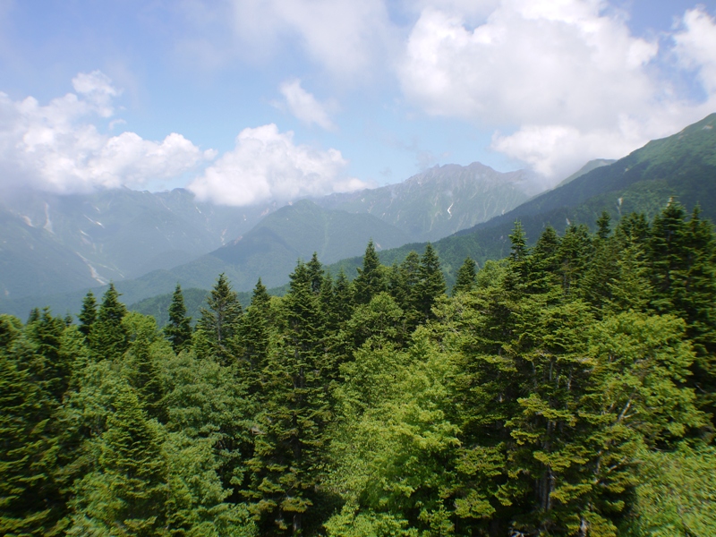 d0155952_17255226.jpg
