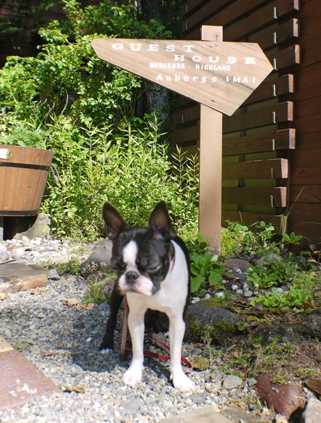 d0155952_17543036.jpg