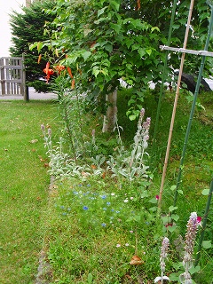e0004756_8505966.jpg