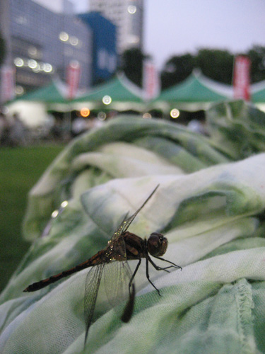 f0009457_10411629.jpg