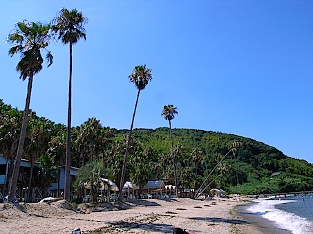 f0201157_20293442.jpg