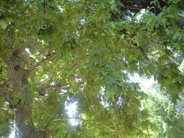 c0194767_0423795.jpg