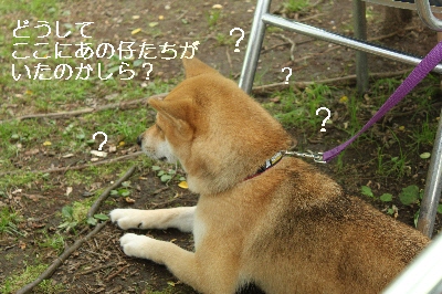 f0203369_23285821.jpg
