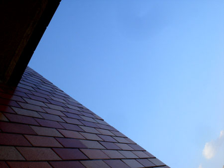 f0204069_22511349.jpg