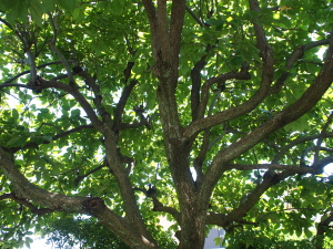 d0163670_11111396.jpg