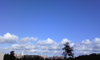 c0061774_22553446.jpg