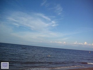 f0175279_844593.jpg