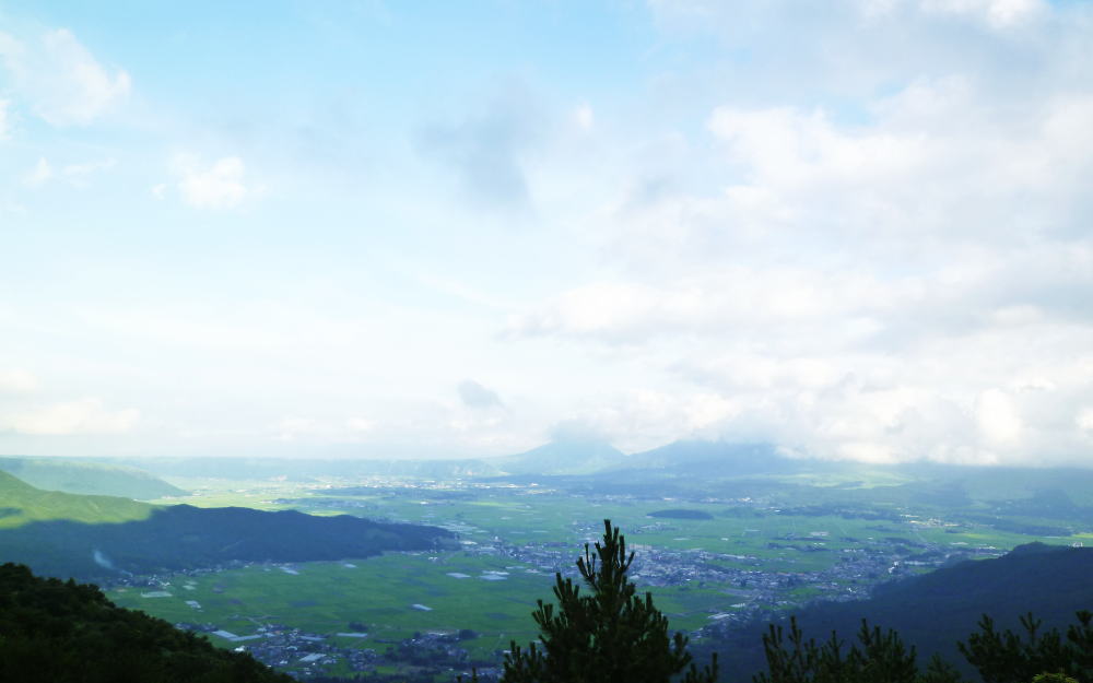 d0179983_7271142.jpg